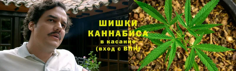 где купить наркотик  Егорьевск  МАРИХУАНА планчик 